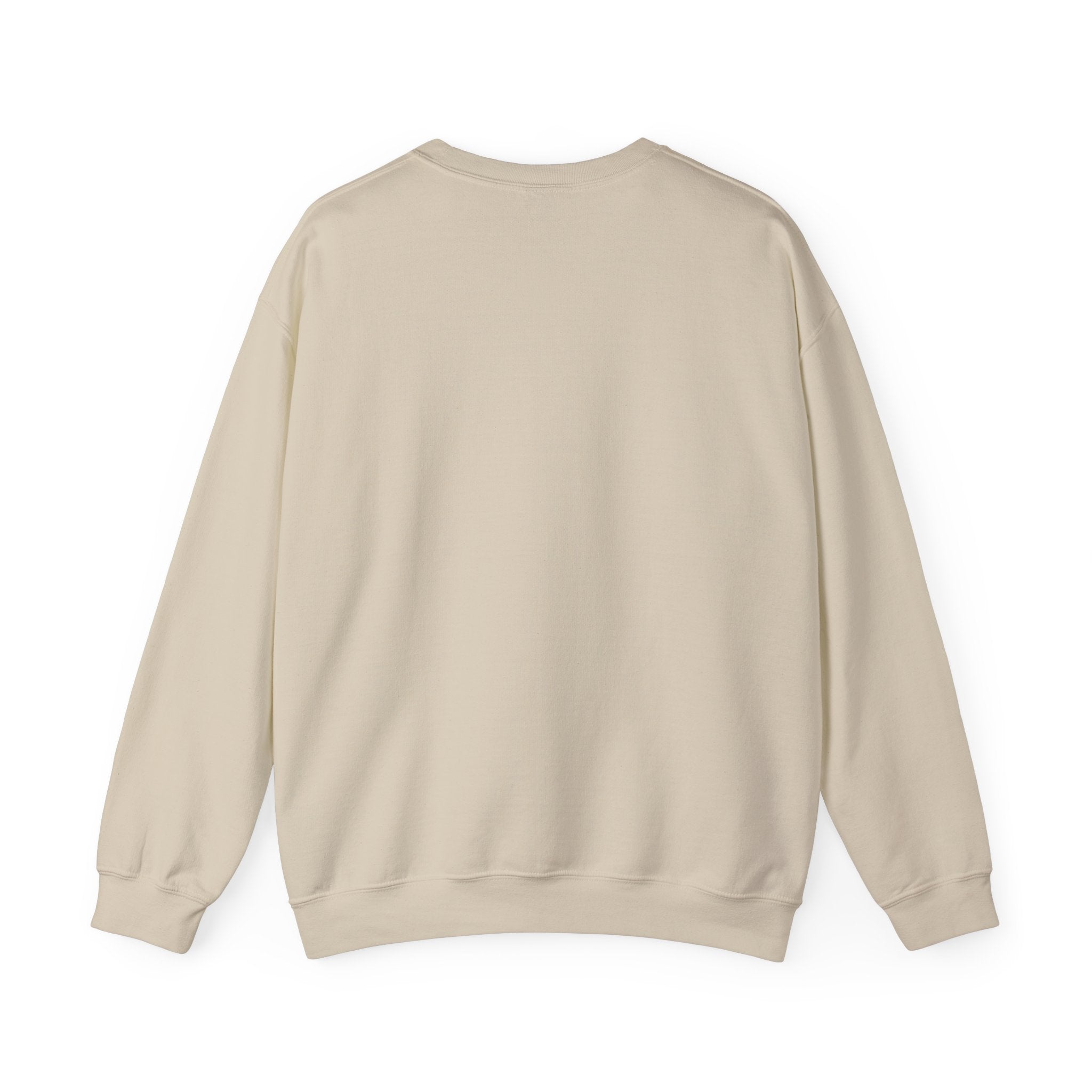 "Problem Exists Between Chair & Keyboard" Funny Coding Bug Graphic Crewneck Sweatshirt