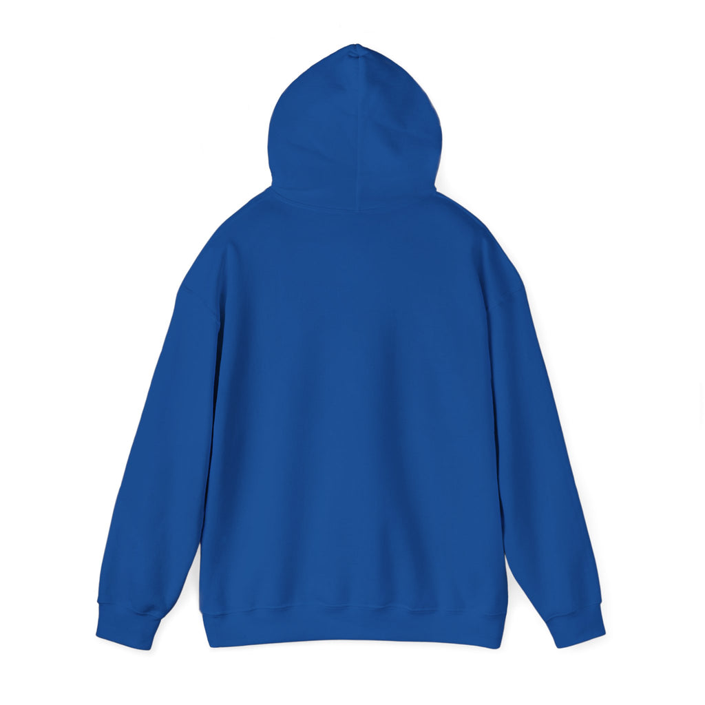 "Have You Tried Googling It?" Funny Tech Support Hoodie