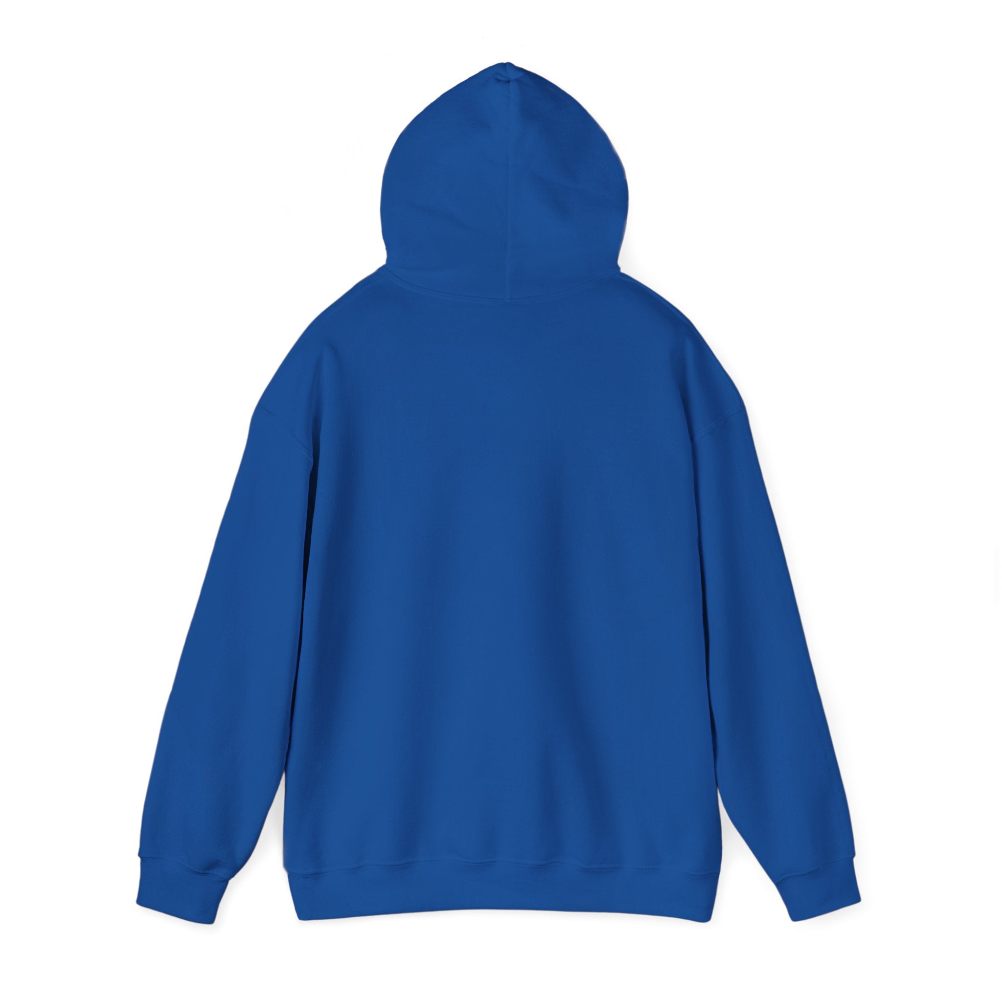 "Have You Tried Googling It?" Funny Tech Support Hoodie