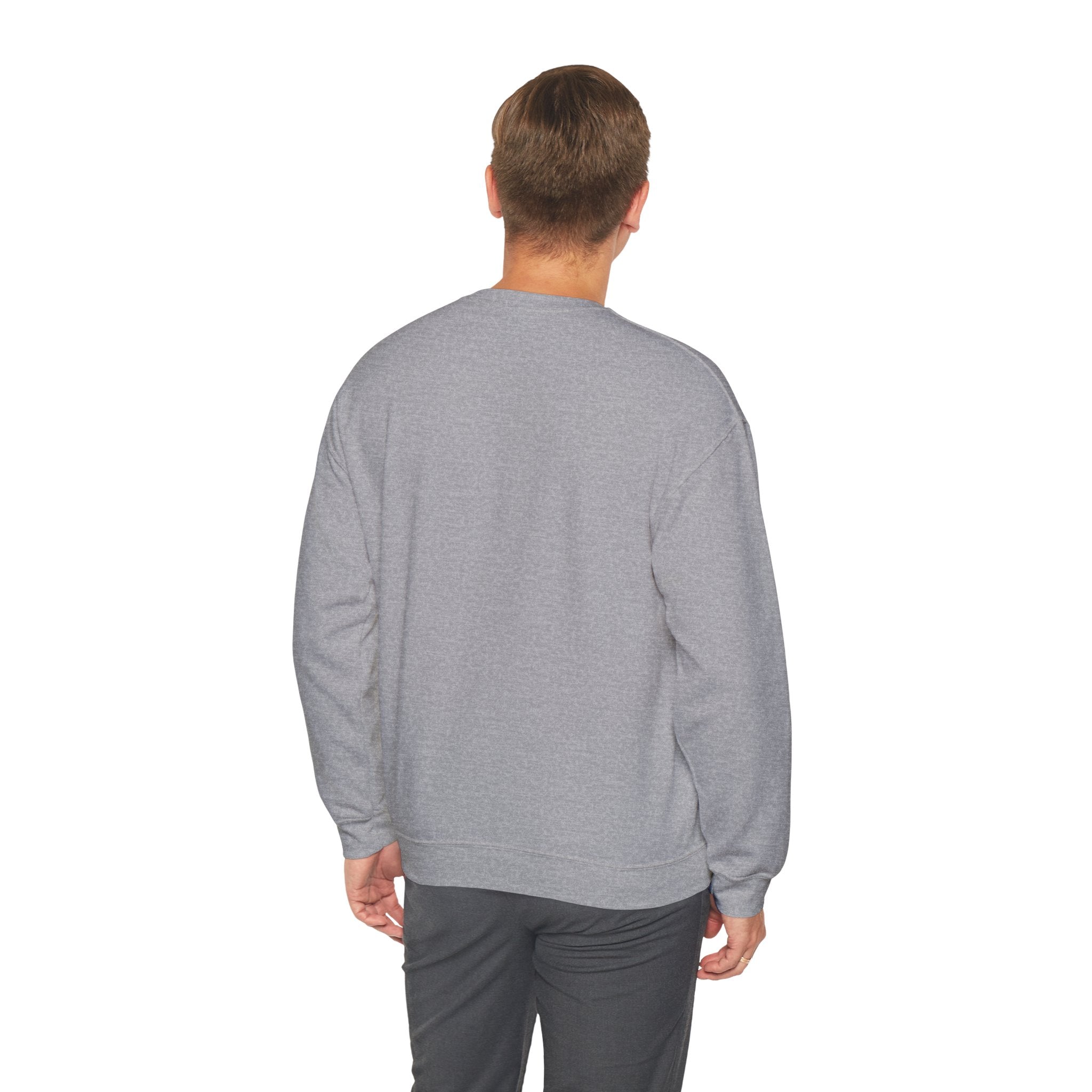 "Problem Exists Between Chair & Keyboard" Funny Coding Bug Graphic Crewneck Sweatshirt