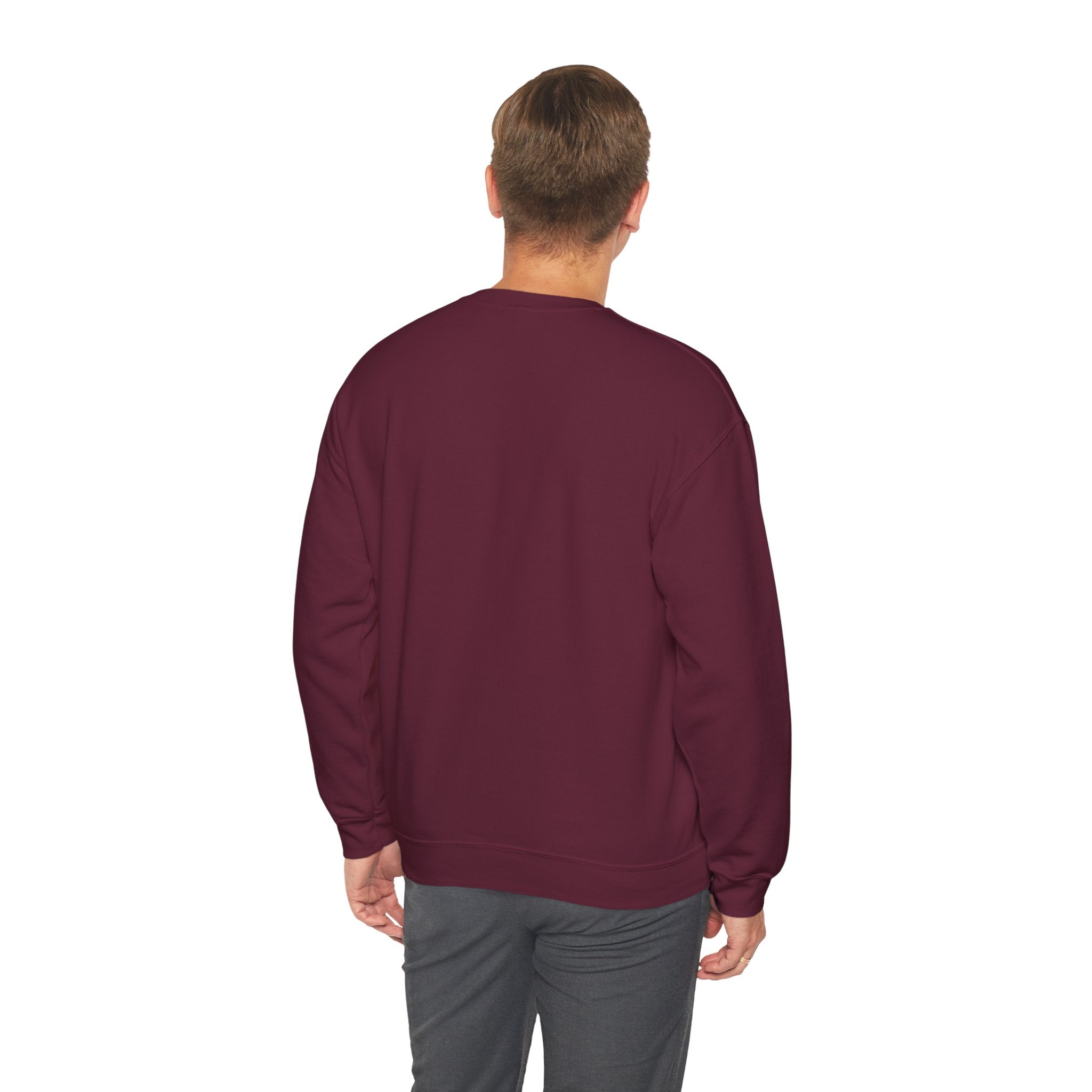 "Problem Exists Between Chair & Keyboard" Funny Coding Bug Graphic Crewneck Sweatshirt