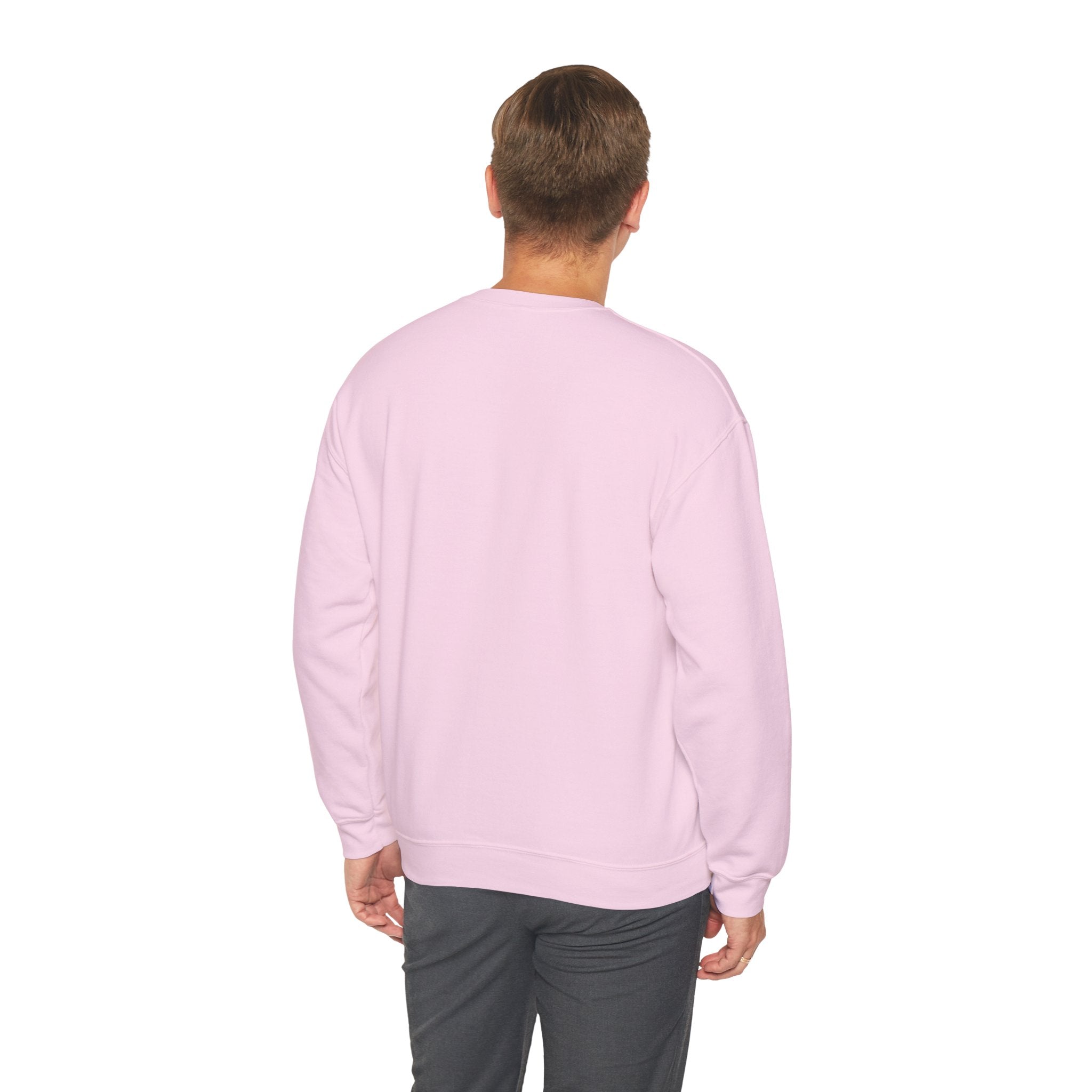"Problem Exists Between Chair & Keyboard" Funny Coding Bug Graphic Crewneck Sweatshirt