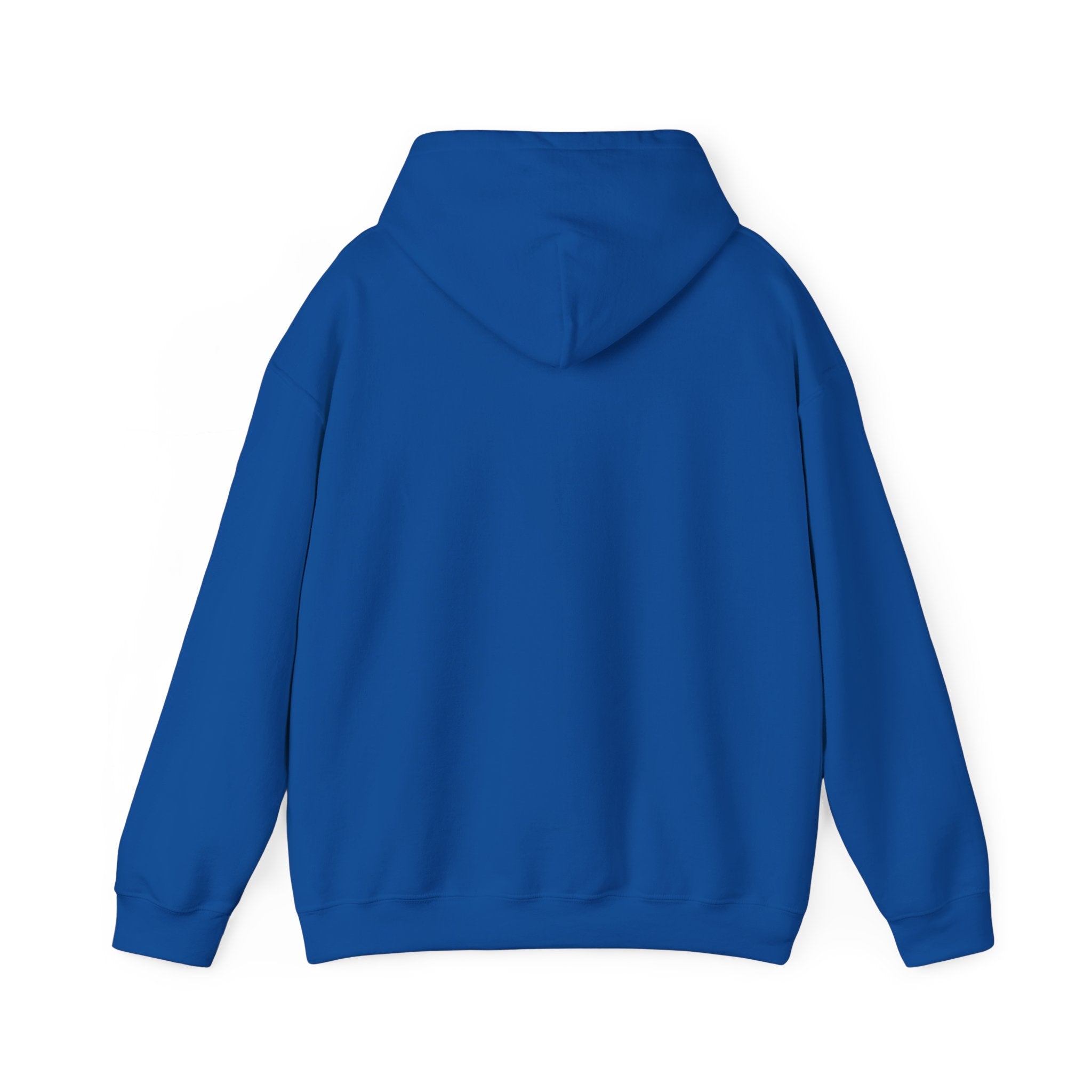 "Have You Tried Googling It?" Funny Tech Support Hoodie