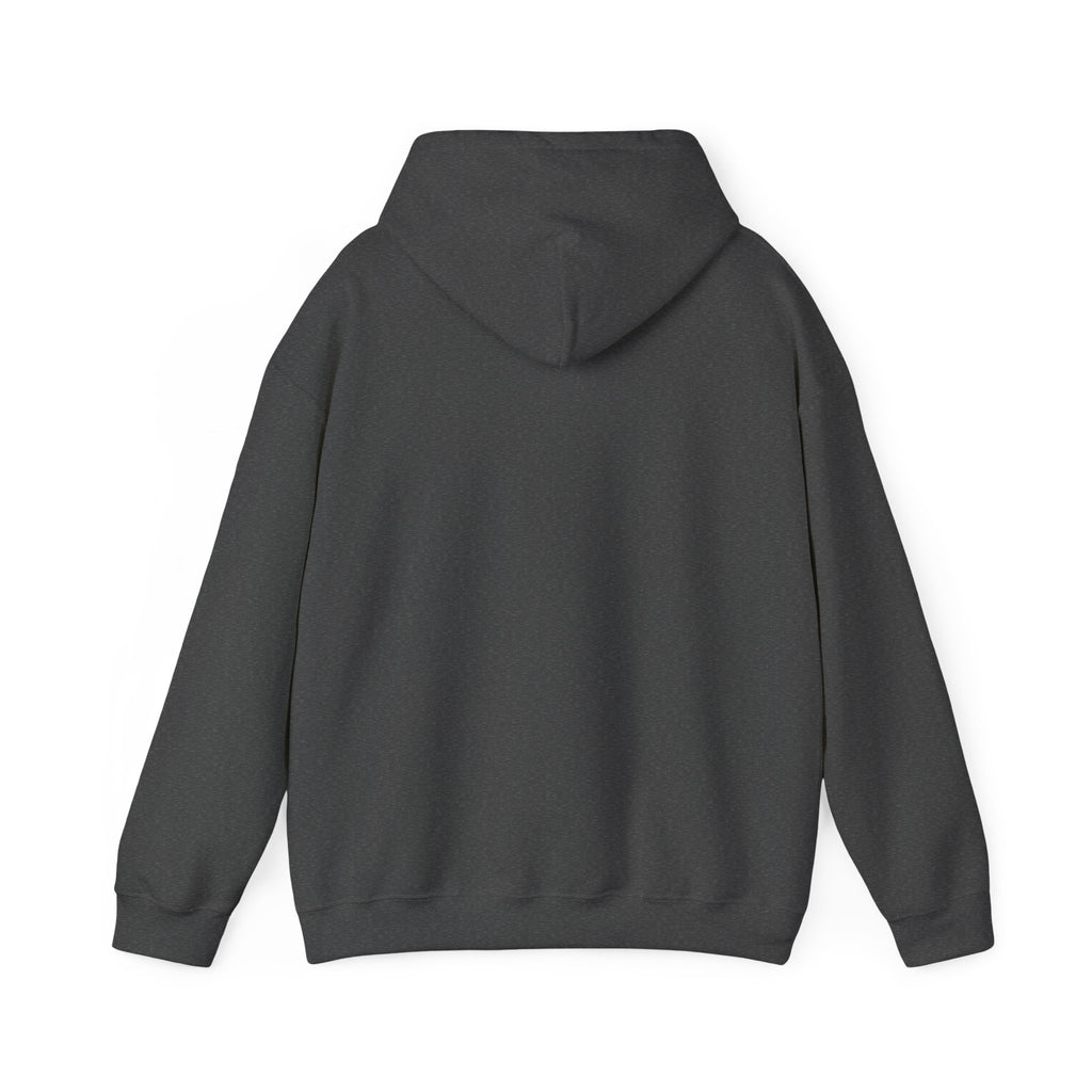 "Have You Tried Googling It?" Funny Tech Support Hoodie