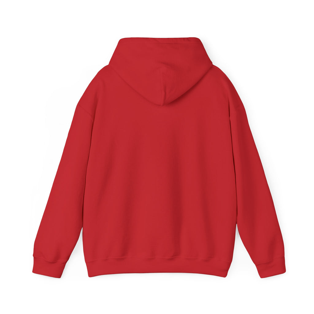 "Have You Tried Googling It?" Funny Tech Support Hoodie