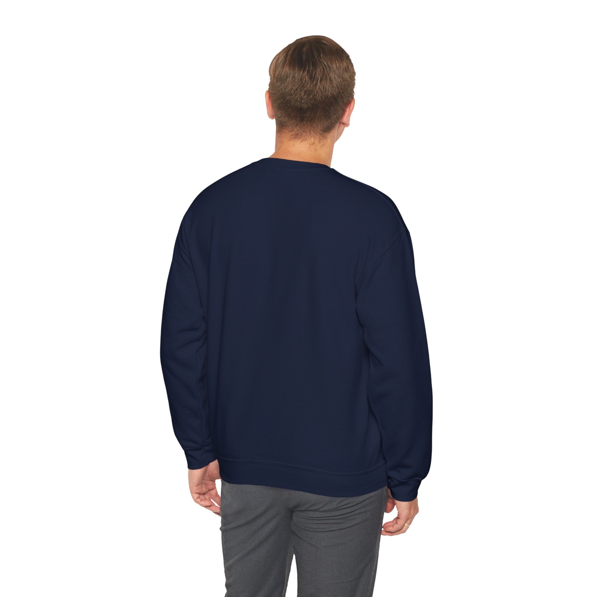 "Problem Exists Between Chair & Keyboard" Funny Coding Bug Graphic Crewneck Sweatshirt
