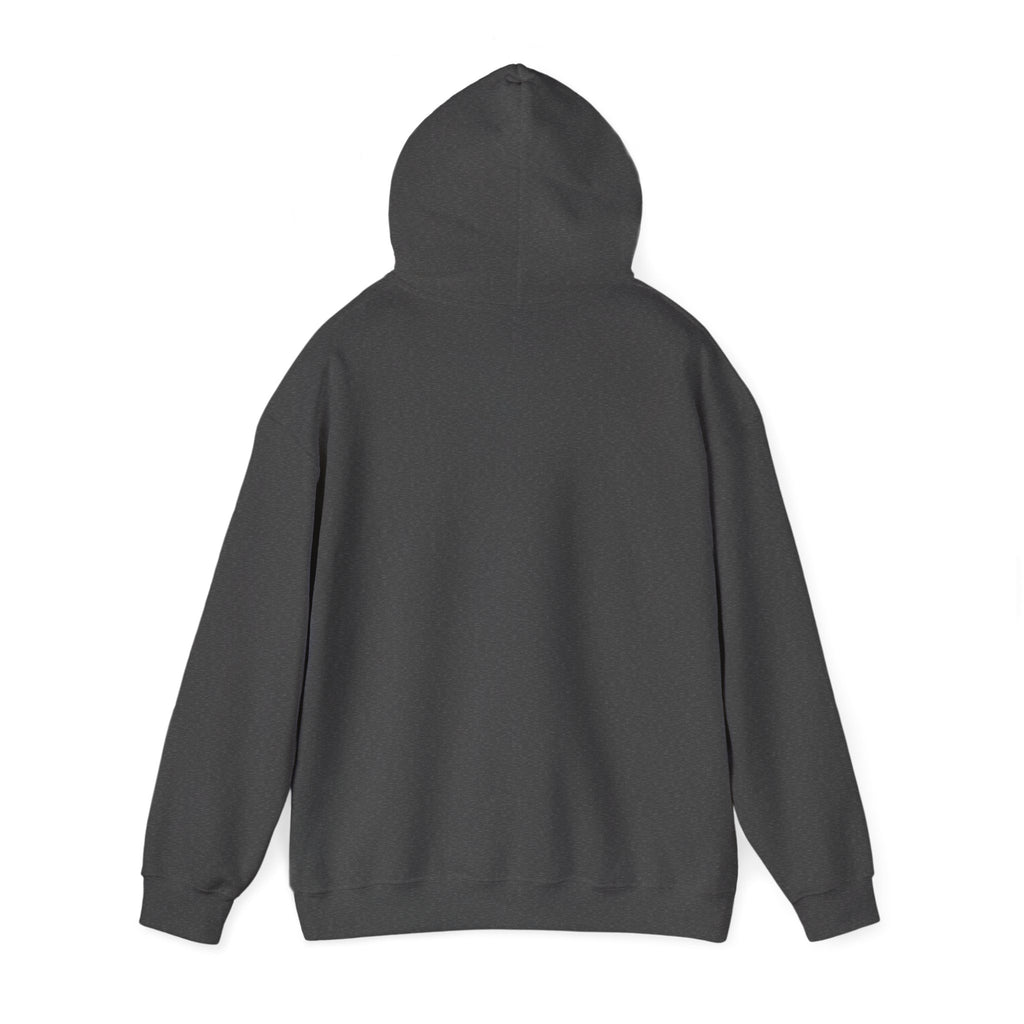 "Have You Tried Googling It?" Funny Tech Support Hoodie