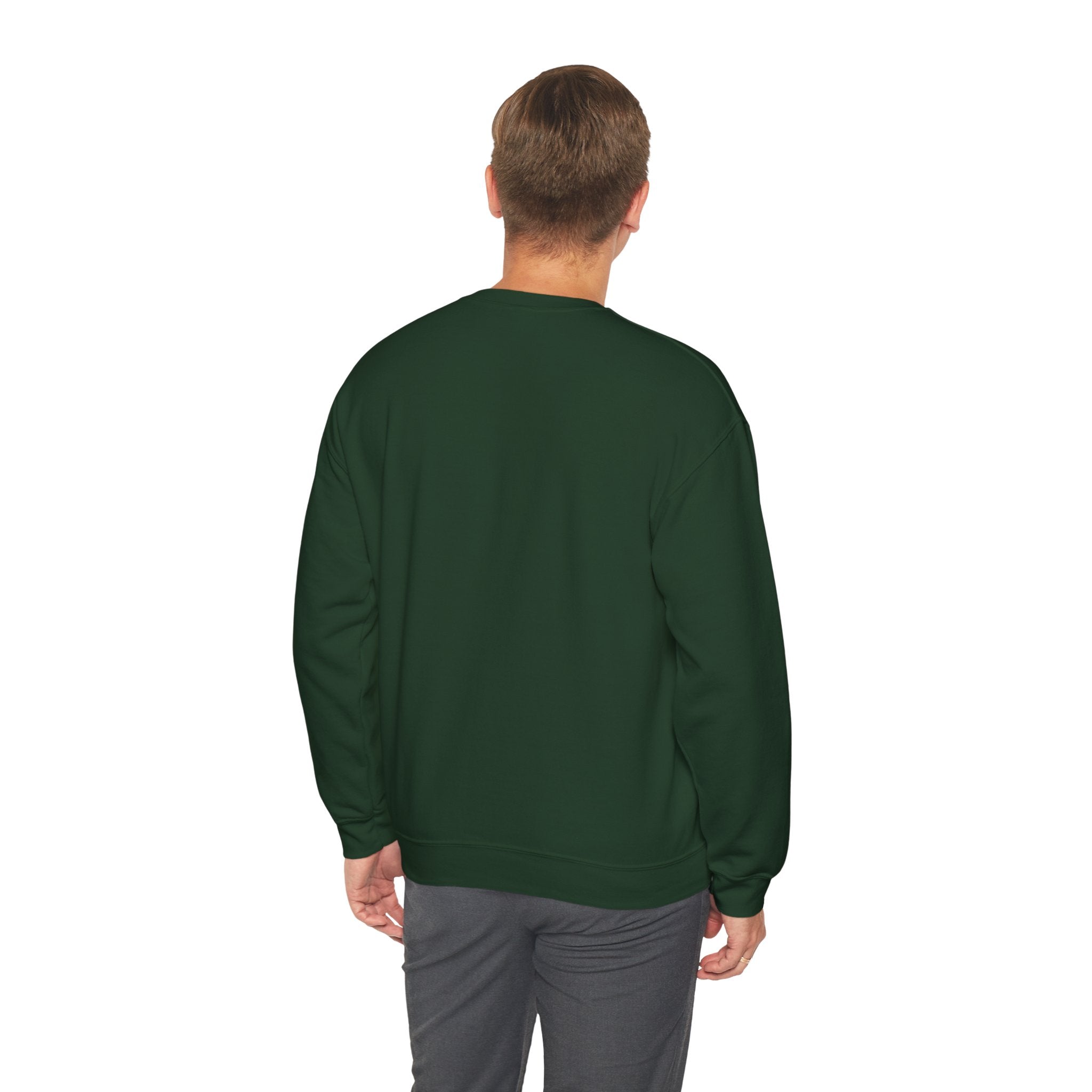 "Problem Exists Between Chair & Keyboard" Funny Coding Bug Graphic Crewneck Sweatshirt